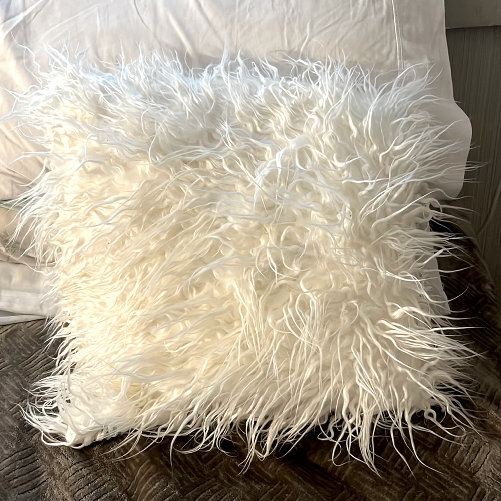 Fluffy throw pillow